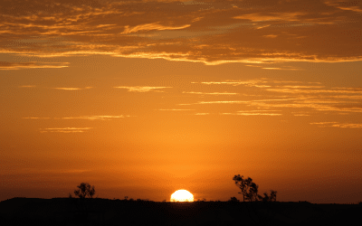 Organisation of African Communities in WA  Inc “Let’s Talk Mental Health Night” Q&A  With Nicholah Wasarirevu